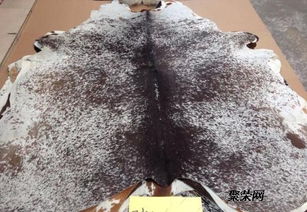 皮革進(jìn)口總代理直銷 品質(zhì)、服務(wù)與供應(yīng)鏈的完美融合